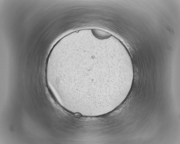 X0000115521534200912040918