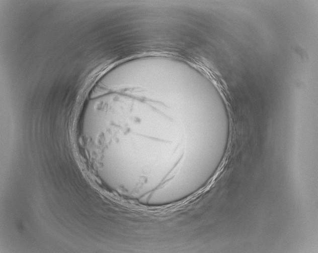 X0000115520001200912181516