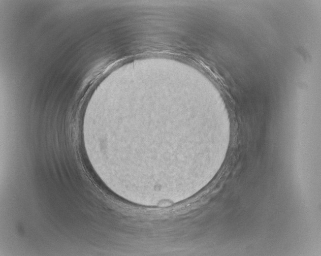 X0000115520002200912181516