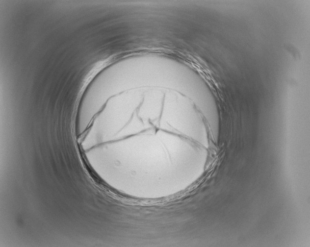 X0000115520003200912181516