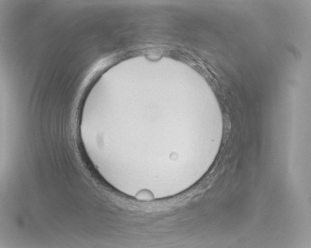 X0000115520006200912181516