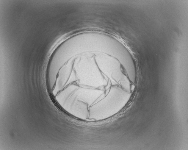 X0000115520007200912181516