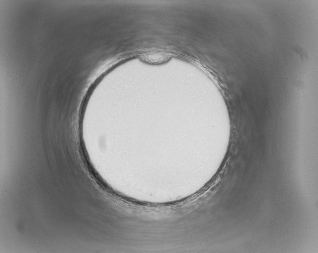 X0000115520008200912181516