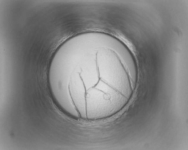 X0000115520009200912181516