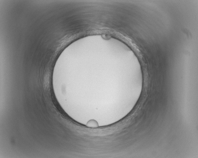 X0000115520010200912181516