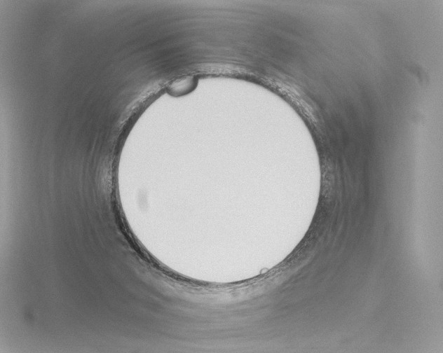 X0000115520015200912181516