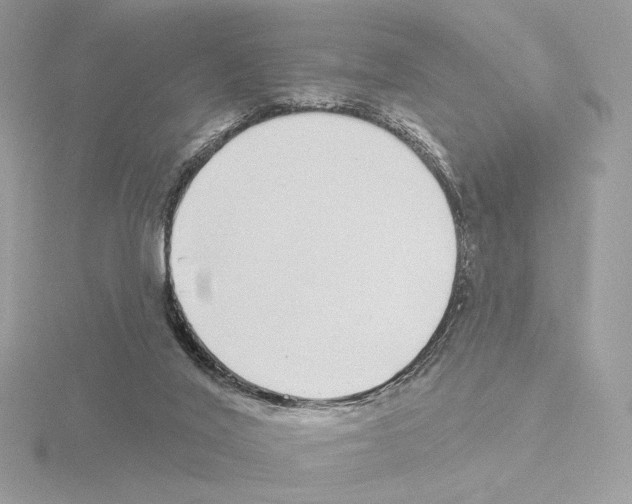 X0000115520020200912181516