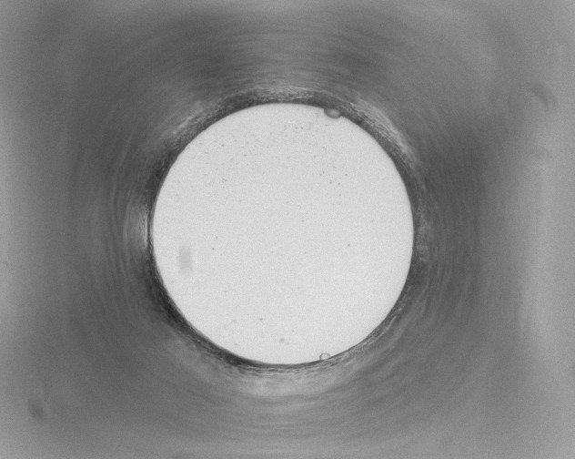 X0000115520021200912181516