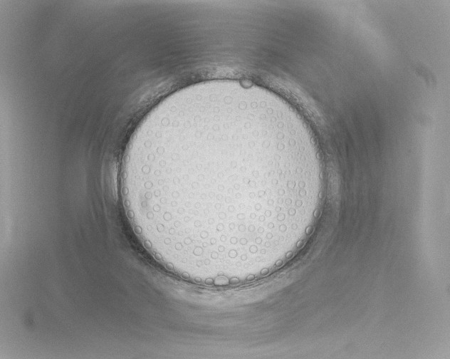 X0000115520022200912181516