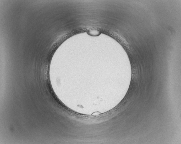 X0000115520023200912181516