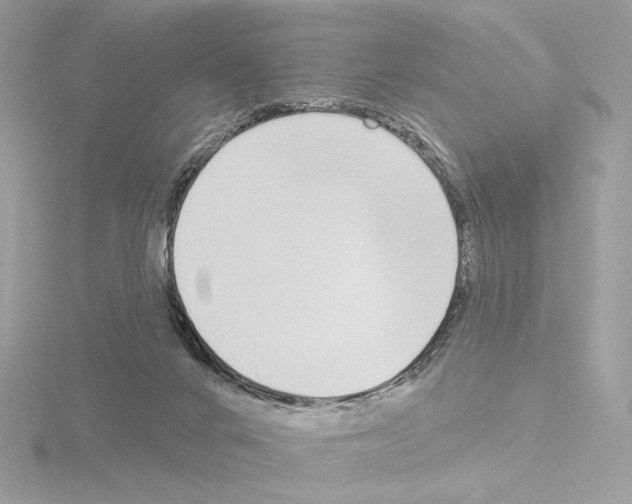 X0000115520024200912181516