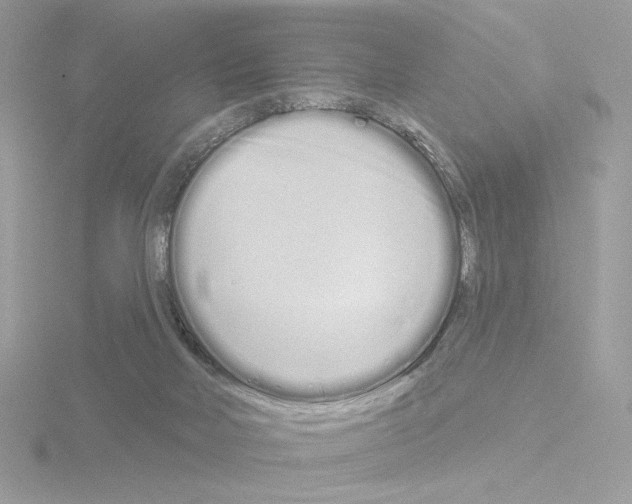 X0000115520026200912181516