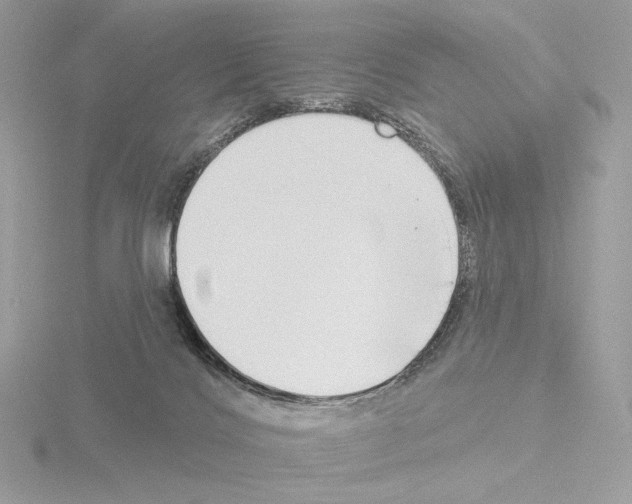 X0000115520028200912181516