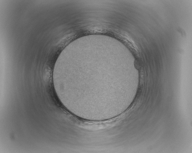 X0000115520029200912181516