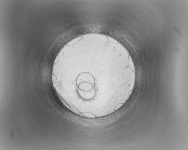 X0000115520030200912181516