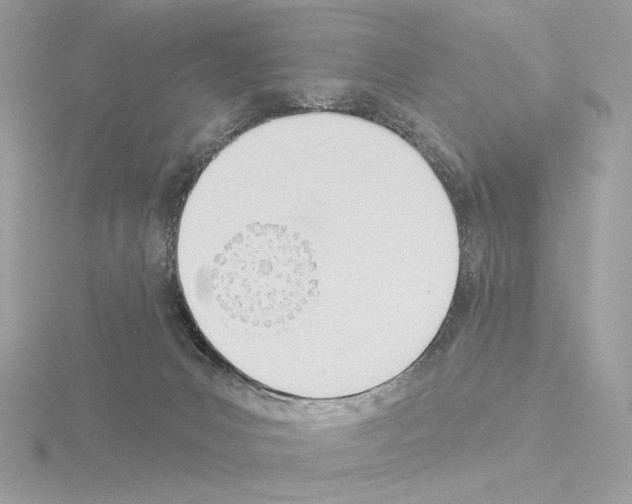 X0000115520031200912181516