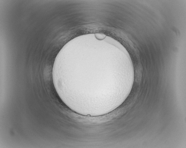 X0000115520034200912181515