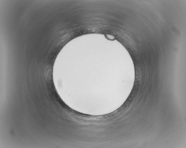 X0000115520036200912181515