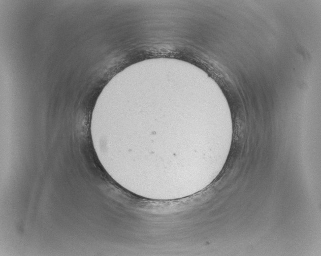 X0000115520037200912181515