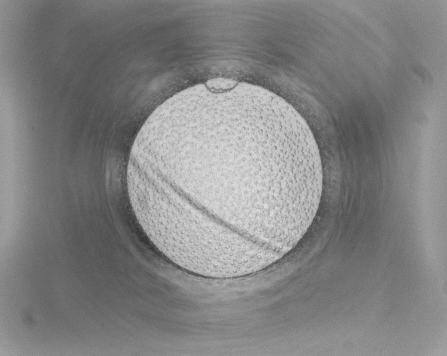 X0000115520038200912181515