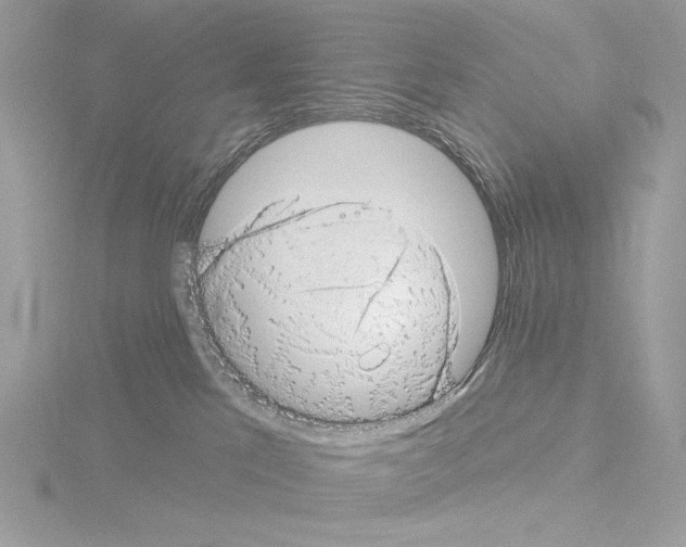 X0000115520041200912181515