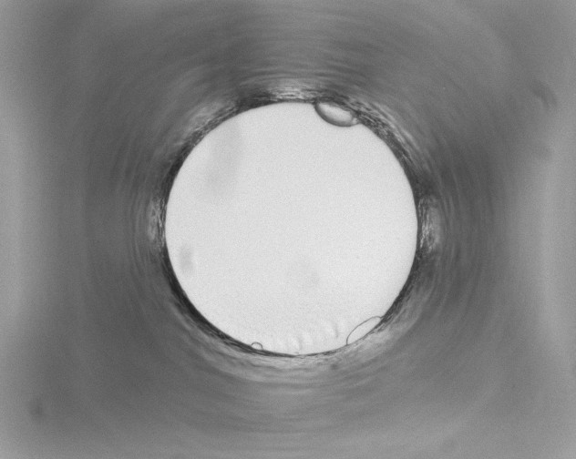 X0000115520044200912181515