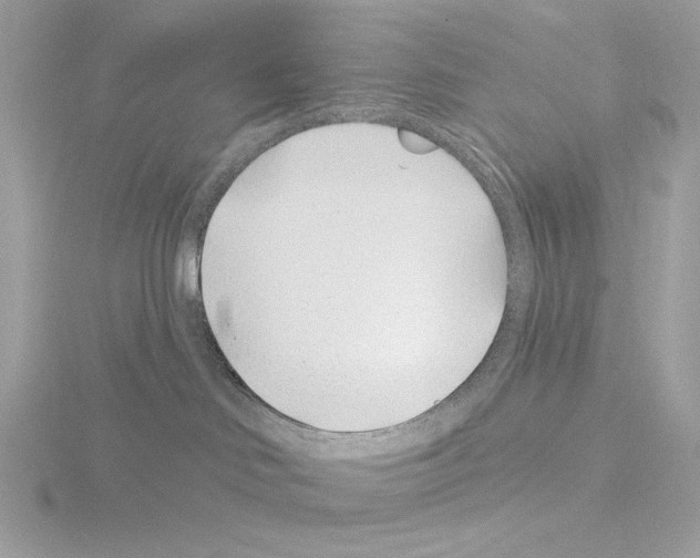 X0000115520046200912181515