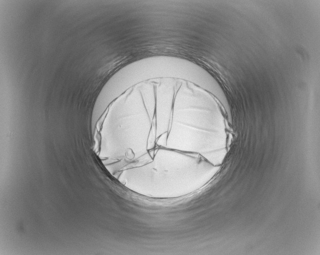 X0000115520047200912181515