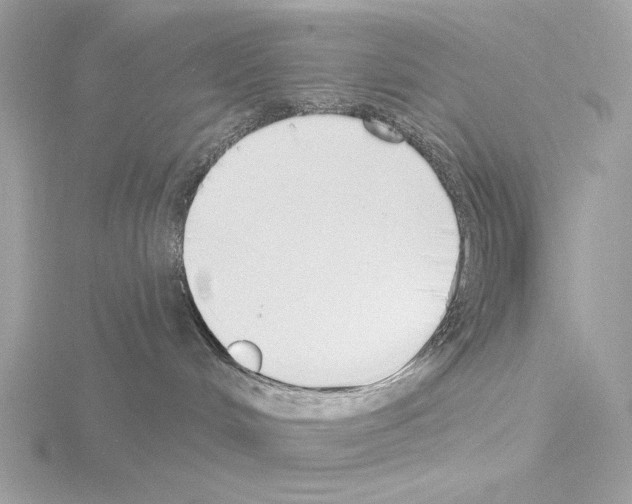 X0000115520048200912181515