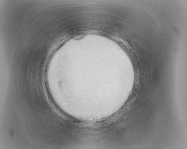 X0000115520049200912181515