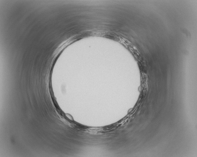 X0000115520051200912181515