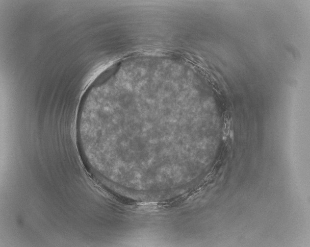 X0000115520052200912181515