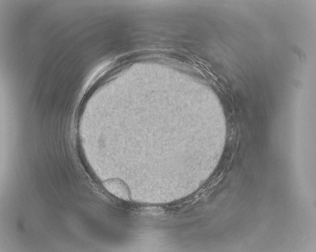 X0000115520053200912181515