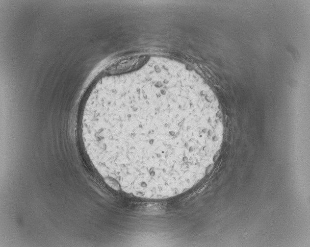 X0000115520056200912181515