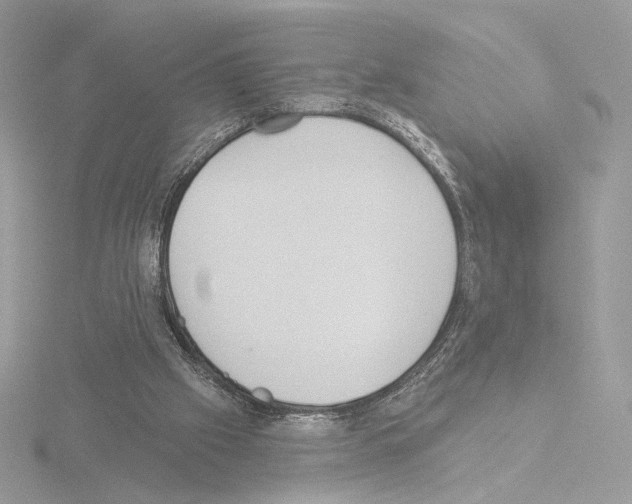 X0000115520057200912181515