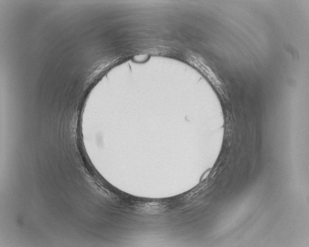 X0000115520058200912181515