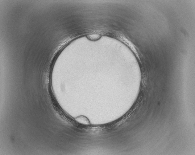 X0000115520059200912181515