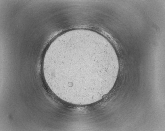 X0000115520060200912181515