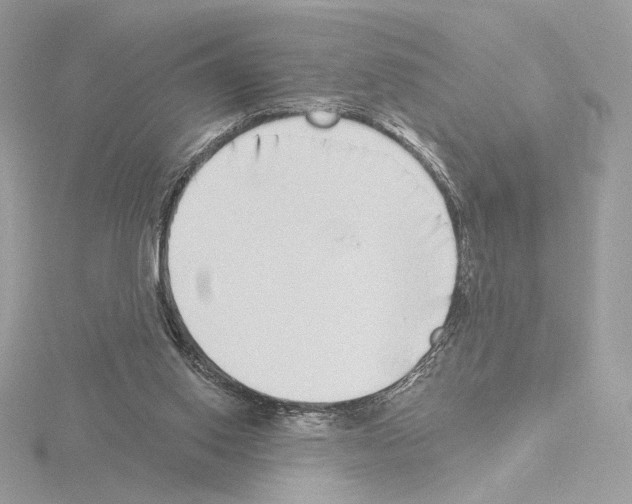 X0000115520062200912181515