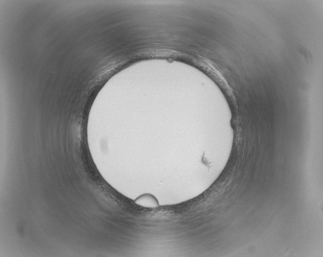 X0000115520063200912181515