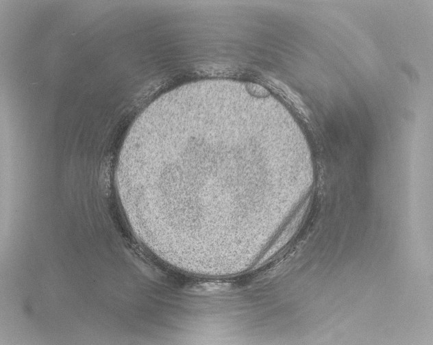 X0000115520065200912181515