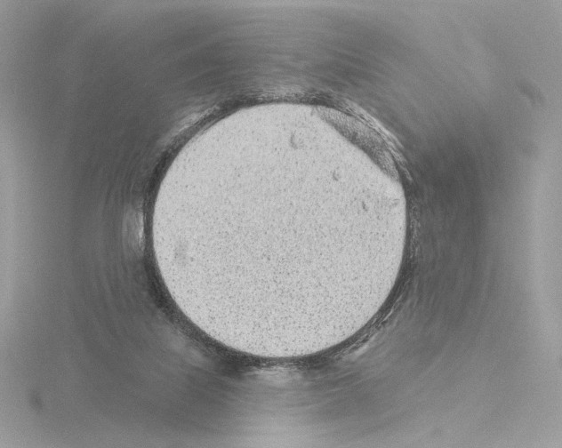 X0000115520067200912181515