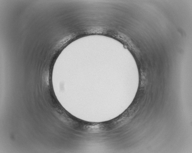 X0000115520068200912181515