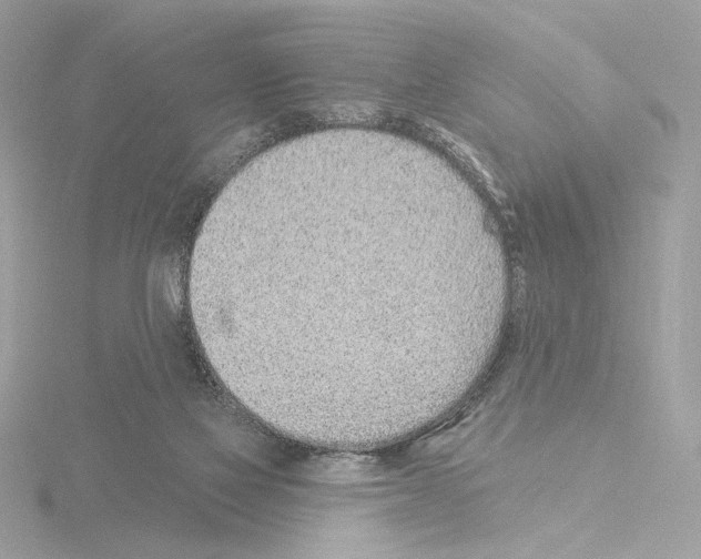 X0000115520069200912181515