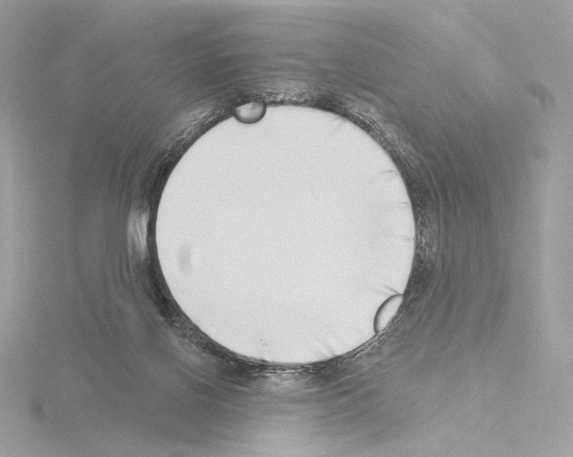 X0000115520070200912181515