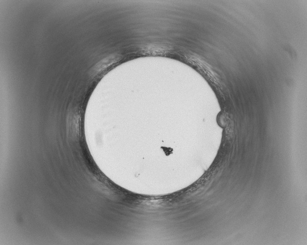 X0000115520071200912181515