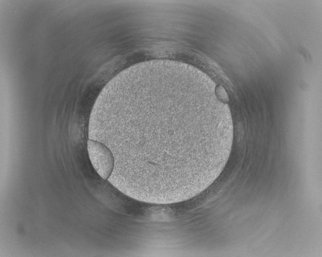 X0000115520073200912181515