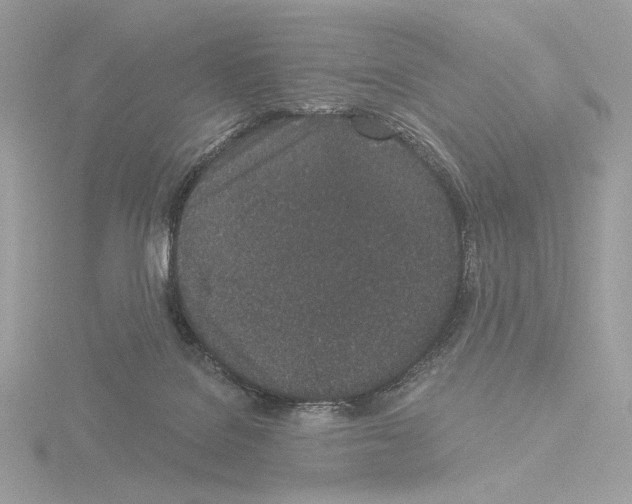 X0000115520076200912181515