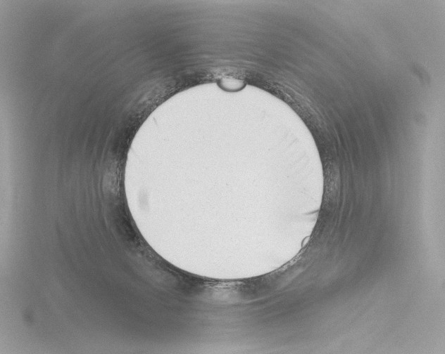 X0000115520078200912181515