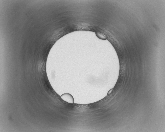 X0000115520079200912181515